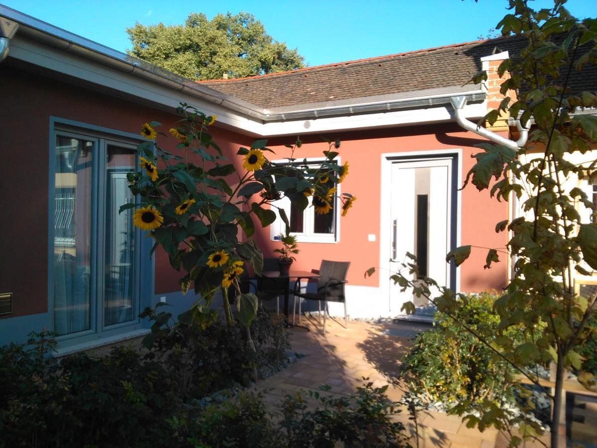 Kleines Feines Ferienhaus Im Herzen Von Dresden Lejlighed Eksteriør billede